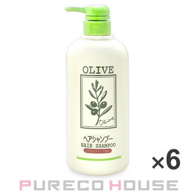 アジュバンリシャンプーレフィル600ml2個セット アジュバンリシャンプーレフィル600ml2個セットカートリッジ付き